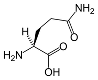 Keto dietasida L-glutamin